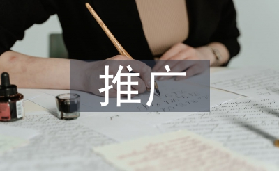 促销勾当推行打算