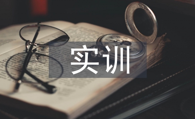 花费税实训总结