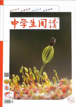 中先生浏览杂志