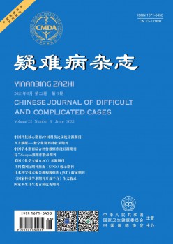 疑问病杂志
