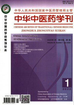 中华西医药学刊杂志