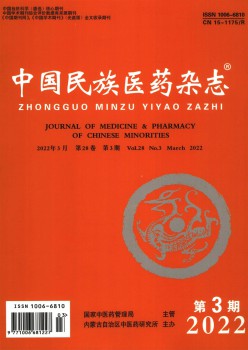 中公民族医药杂志