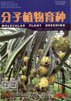 份子动物育种杂志