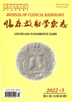 临床喷射学杂志